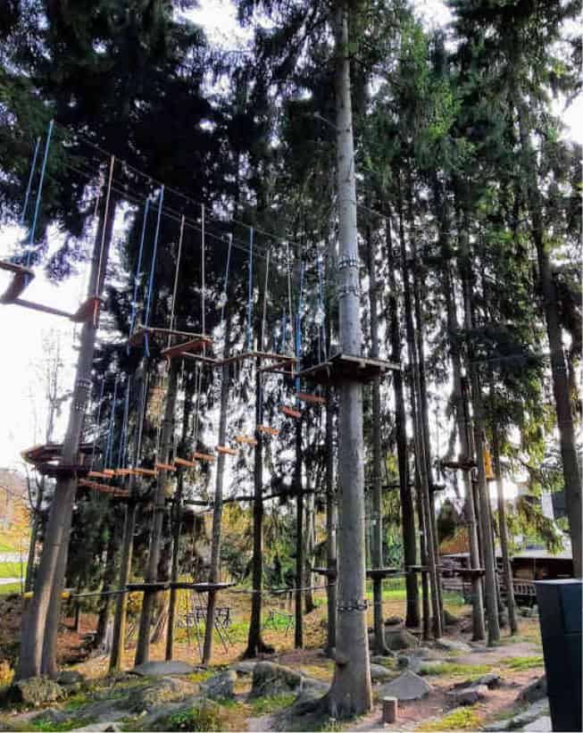 Lanový park Bedřichov
